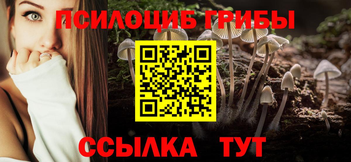 Североуральск  Галлюциногенные грибы Magic Shrooms  Вход с VPN  Псилоцибиновые грибы ЛСД 